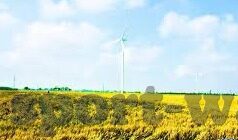 九游苹果版下载-掌握技巧，轻松安装九游苹果版应用