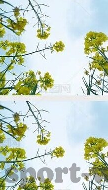 亚泰足球最新比分消息-亚泰足球最新比分揭晓，激战正酣，绿茵场上演绎精彩对决